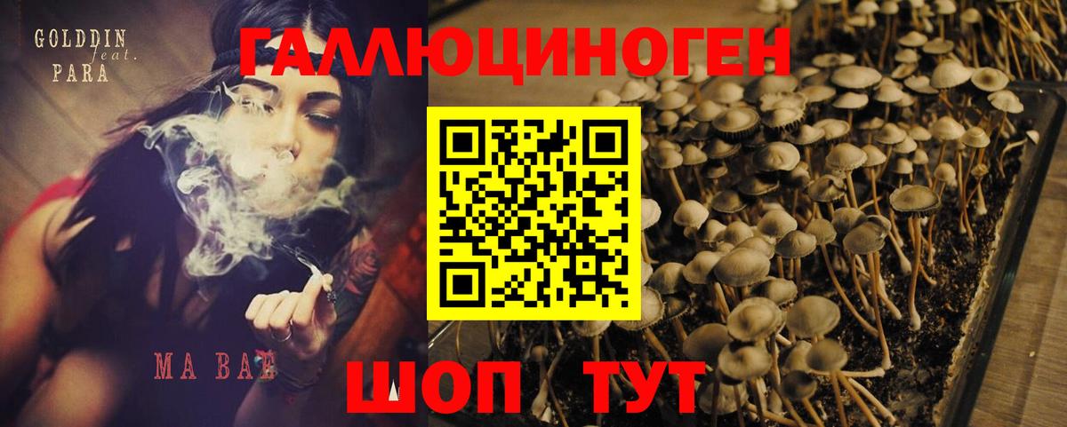 Псилоцибиновые грибы мухоморы Каменск-Шахтинский