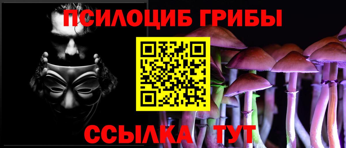 Каменск-Шахтинский  Галлюциногенные грибы мухоморы  Вход с VPN 